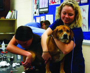 Student volunteers and members of the Animal Health Technology/Pre-Veterinary Club assist with the Doggie Day Spa held last Saturday at the A. Carman Animal Health Technology Center. || Kristen Allen/The News