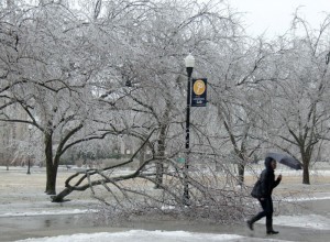 Lori Allen/The News A student walks on campus near a fallen tree in last week’s inclement weather.