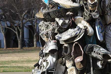 Stock Photo/The News The shoe tree stands outside Wilson Hall and is covered with approximately 50 pairs of shoes.