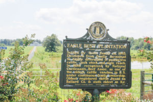 Photo by McKenna Dosier /  The historic Eagle Rest Plantation will be placed in University control immediately, but will be bequeathed in the future – a life estate gift granted on the donors passing.