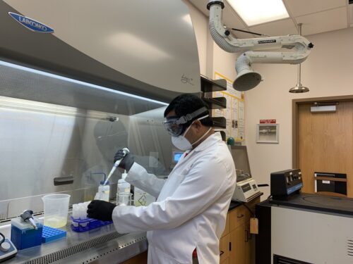 Professors test wastewater to further prevent COVID-19 - Vimarsana News