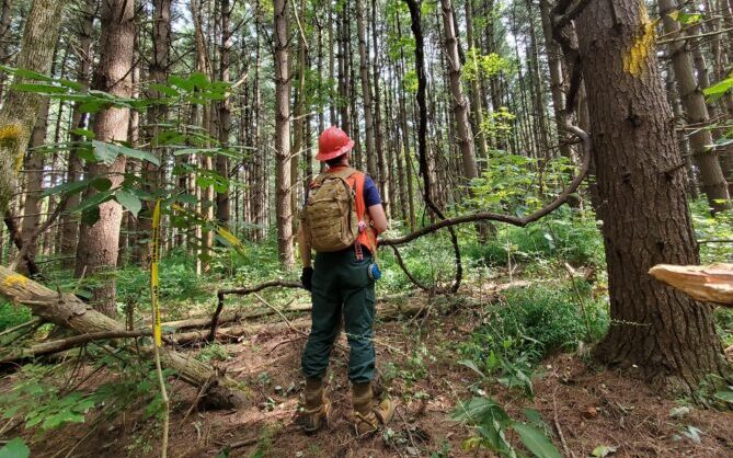 Alumnus shares forestry experience - Vimarsana News