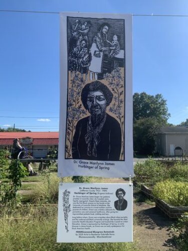 Traveling art exhibit honors Kentucky women, native plants - Vimarsana News